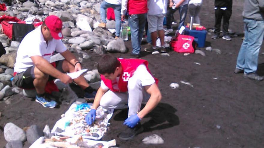 Voluntarios en un proyecto de &quot;ciencia ciudadana&quot; de Cruz Roja.