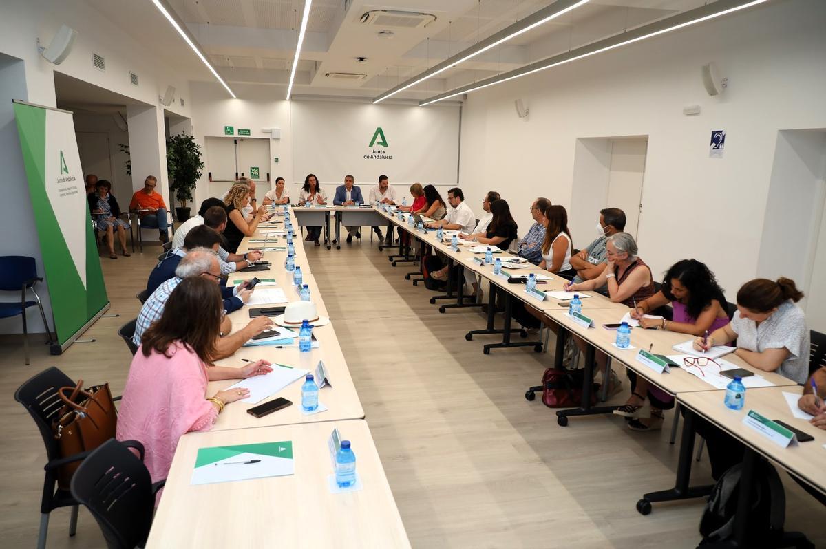 El Foro Andaluz de Integración de las Personas Migrantes se ha reunido este miércoles en Sevilla.