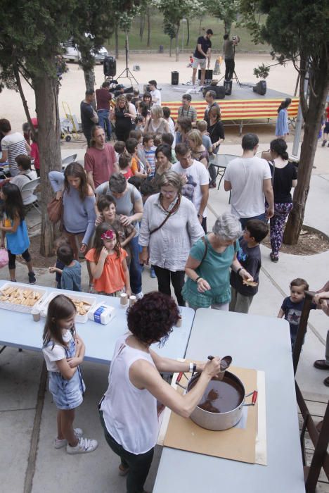 Exhibició d’aus rapinyaires per celebrar la festa de les Pedreres