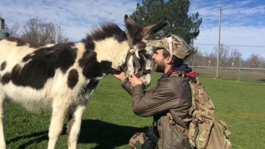 Curro, el burro que pudo acabar en un plato