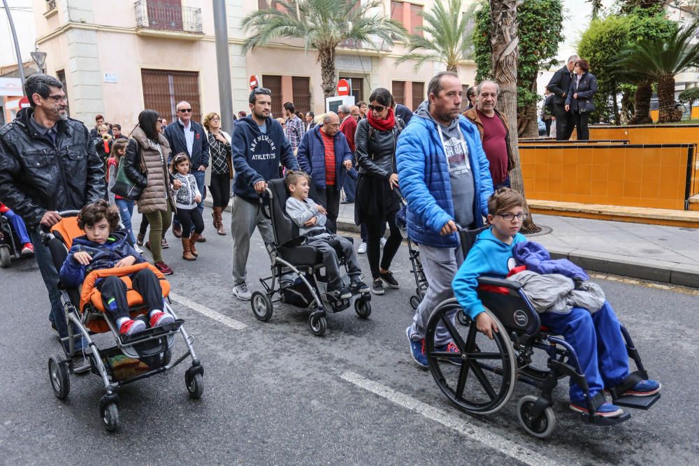 Un paseo por la jungla en Torrevieja