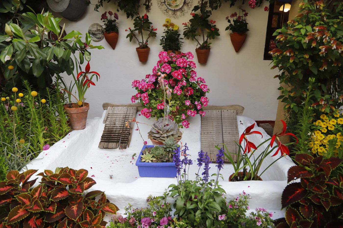 Patios de Córdoba: San Basilio 44