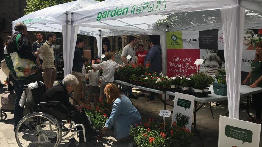 Santpedor en flor, en la seva edició de primavera