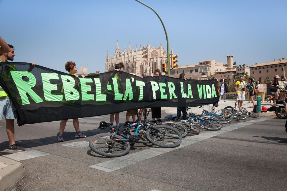 Corte de carretera en Palma contra el cambio climático