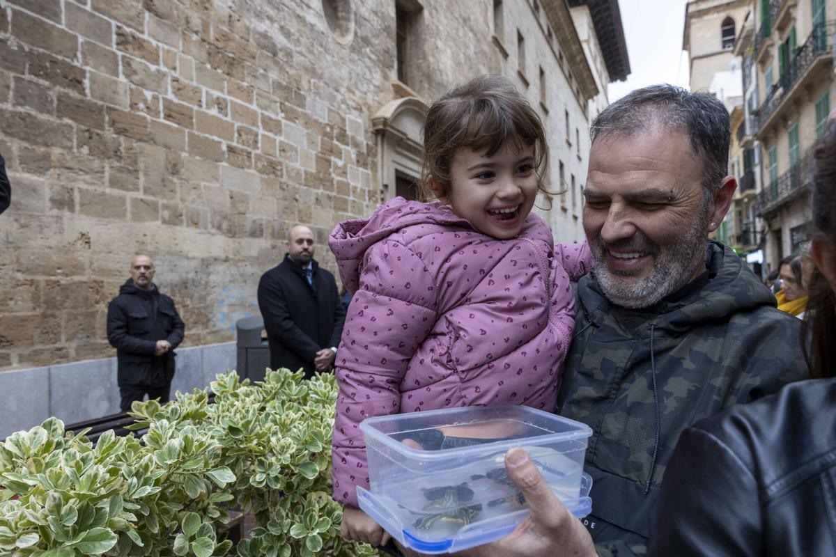 PALMA. BENEIDES DE PALMA 2026.