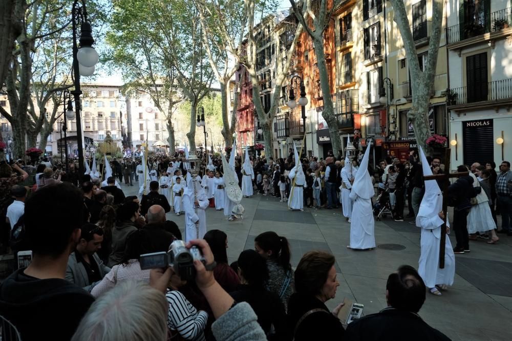 Prozession Ostern 2017 Palma Mallorca Palmsonntag