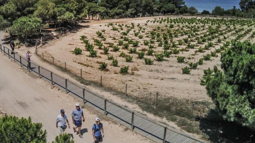 El parque natural de La Mata organiza una ruta didáctica contra la desertificación