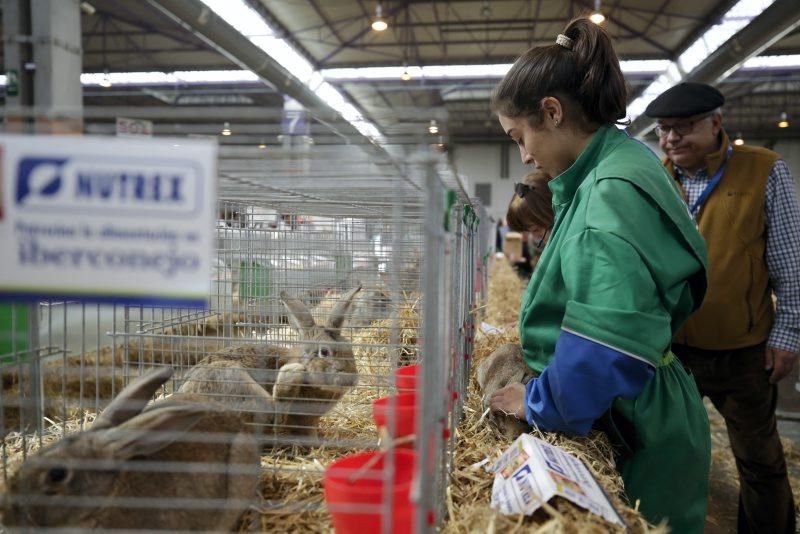 XIV Feria Internacional para la Producción Animal