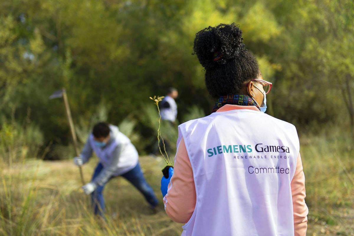 Plantación de un bosque para Siemens