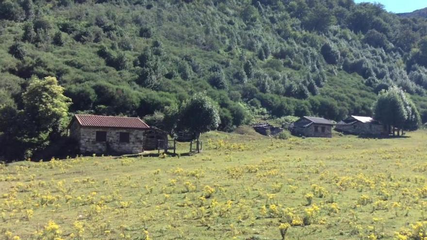 El Principado ultima las reformas en el parador de Brañagallones