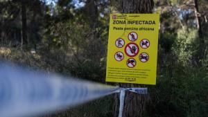 Efectivos de la UME y agentes rurales se reúnen en la zona declarada en cuarentena por la Peste Porcina Africana en Torreferrussa, antes de iniciar las tareas previstas.