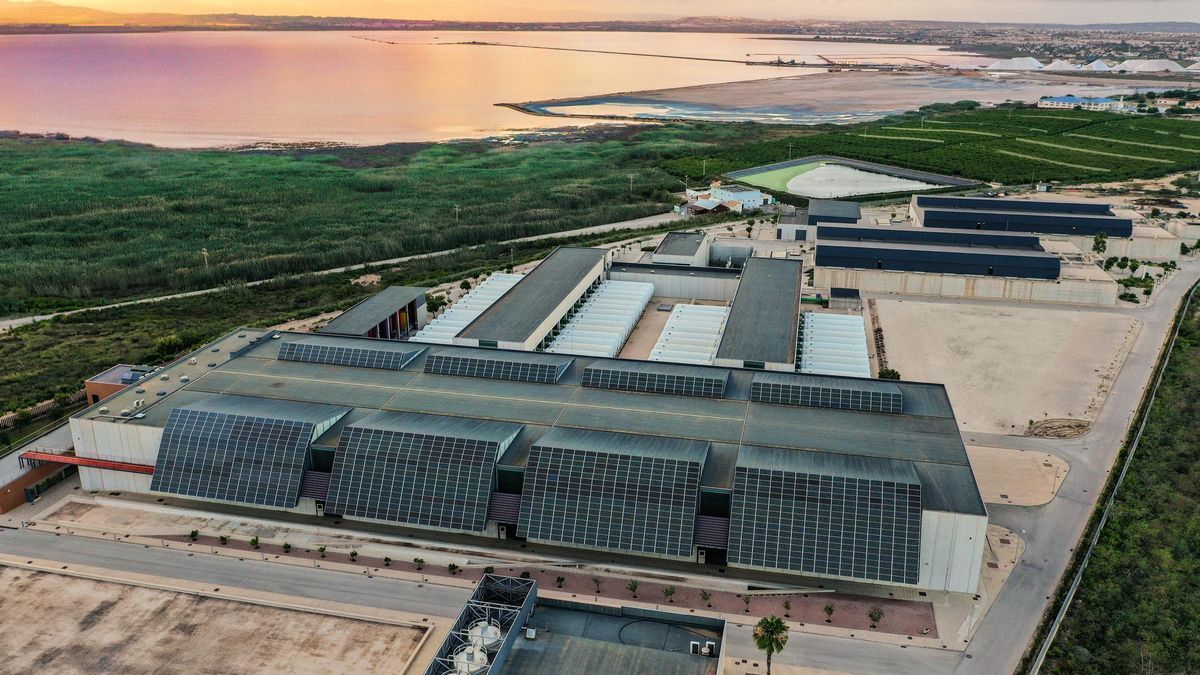 Planta desaladora de Torrevieja con la laguna rosa a fondo