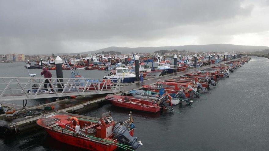 La Diputación abre el plazo de ayudas para cofradías y cooperativas agroganaderas con 700.000 euros
