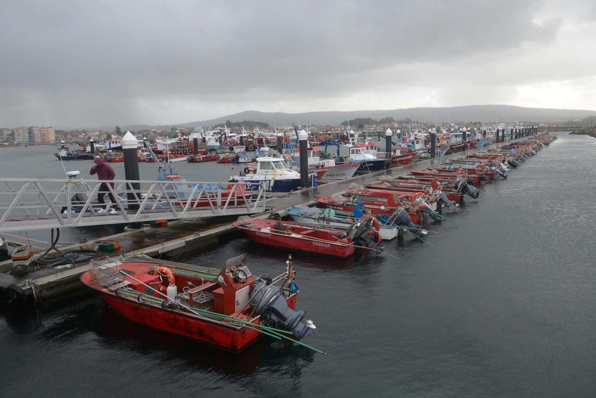 Vista de embarcaciones en un puerto pesquero de Arousa.