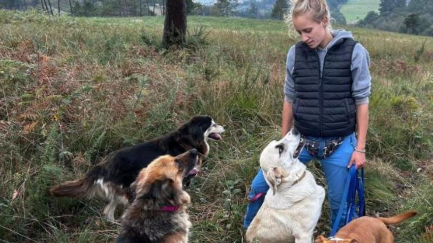 Yoli Suarez, cuidadora canina de Grado, junto a varios de los perros a su cargo.