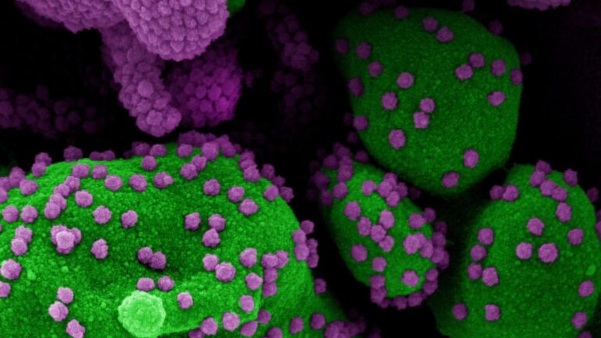 ¿Es posible que Ómicron sea el virus más contagioso de la historia?