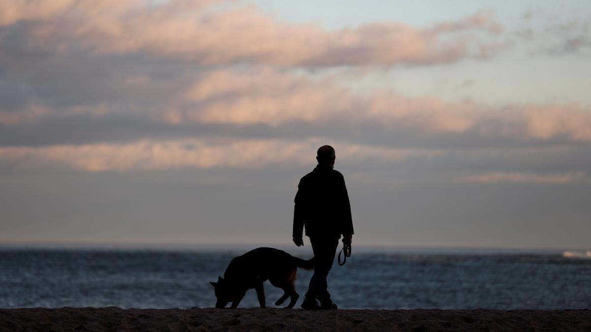 España es uno de los países europeos donde más animales se abandonan.