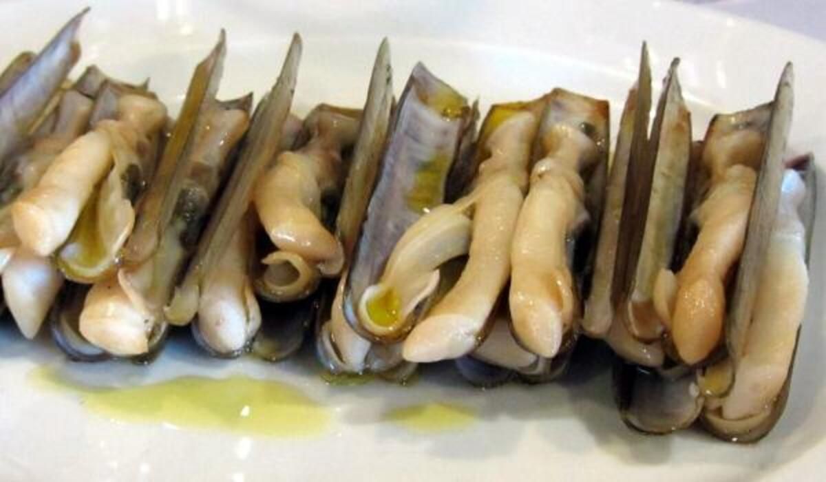 El longueirón se erige como uno de los estandartes gastronómicos de Fisterra