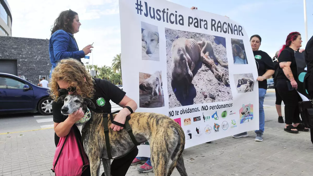 Cuando la vida de un animal está en peligro actuar es una obligación