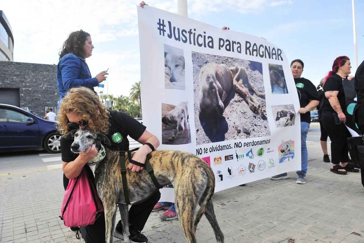 Pancartas exigiendo justicia por el caso Ragnar en Elche