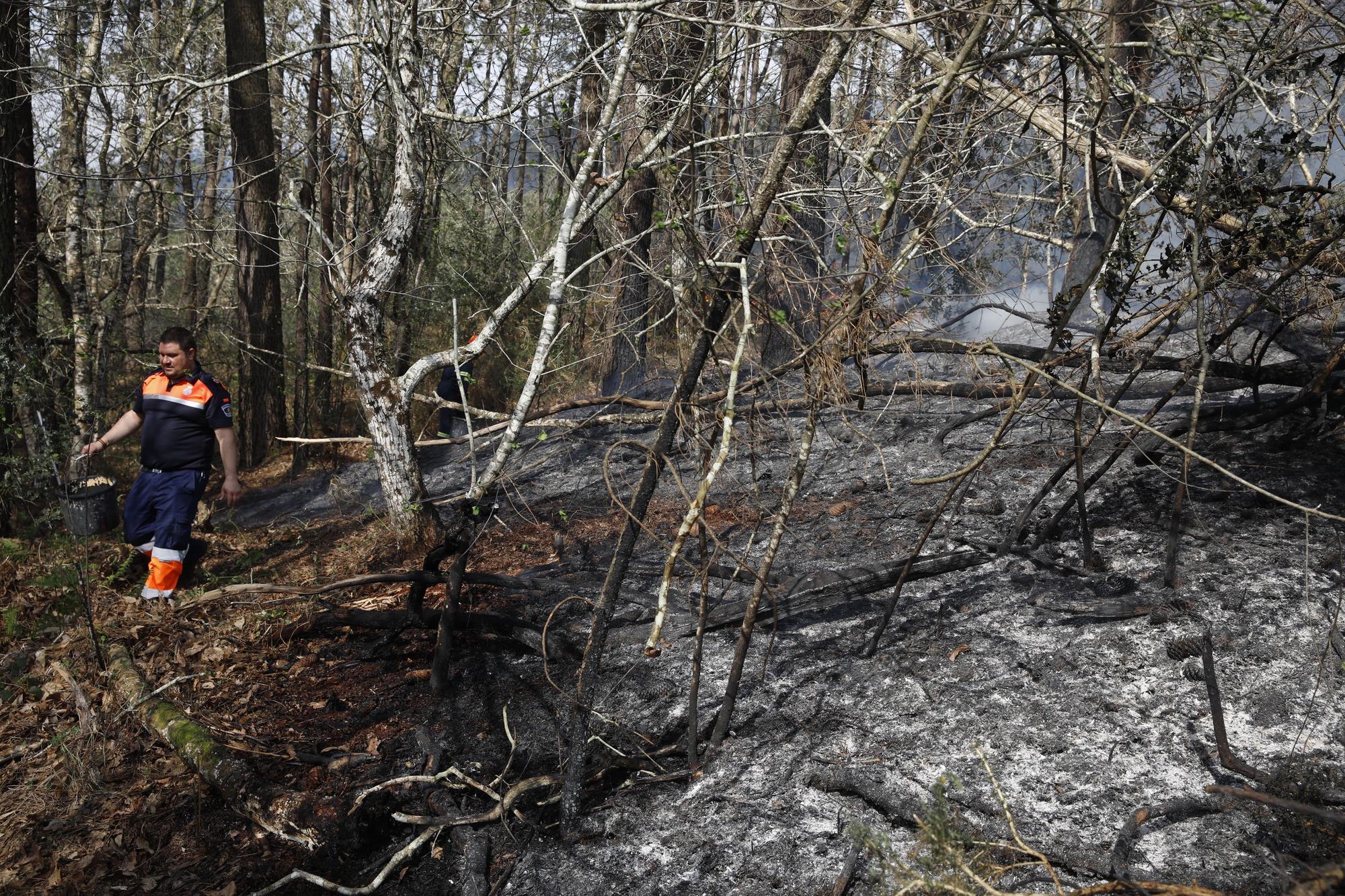 EN IMÁGENES: Gran oleada de incendios en Asturias