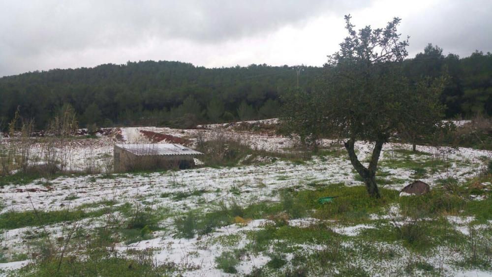 Campos blancos en Sant Miquel