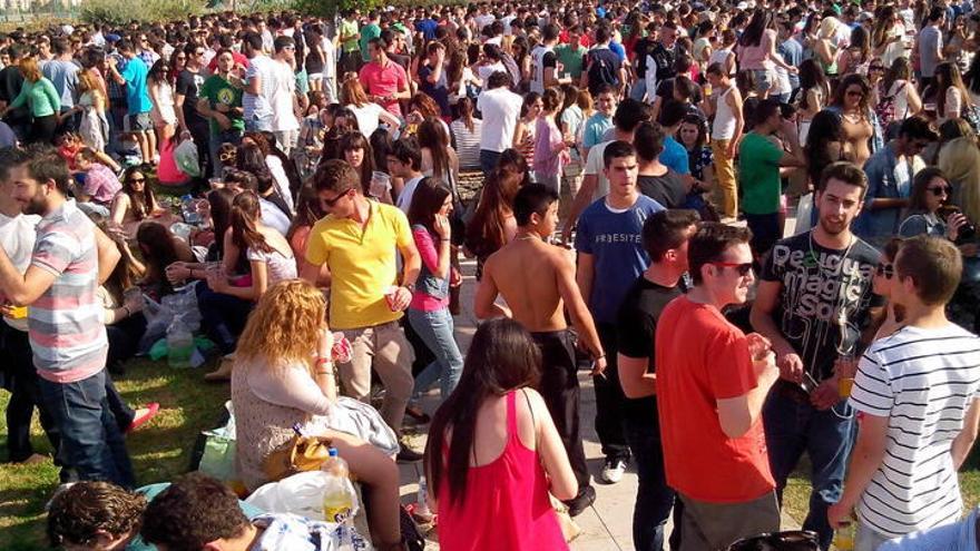 Imagen de la Fiesta de la Primavera del pasado año.