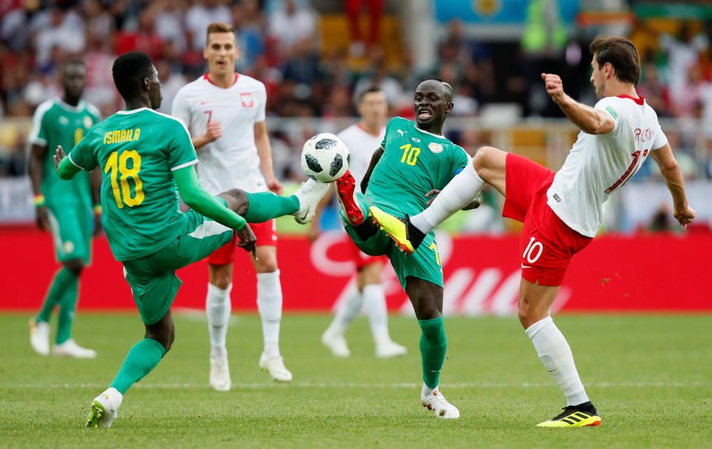 Polònia - Senegal. Mundial 2018