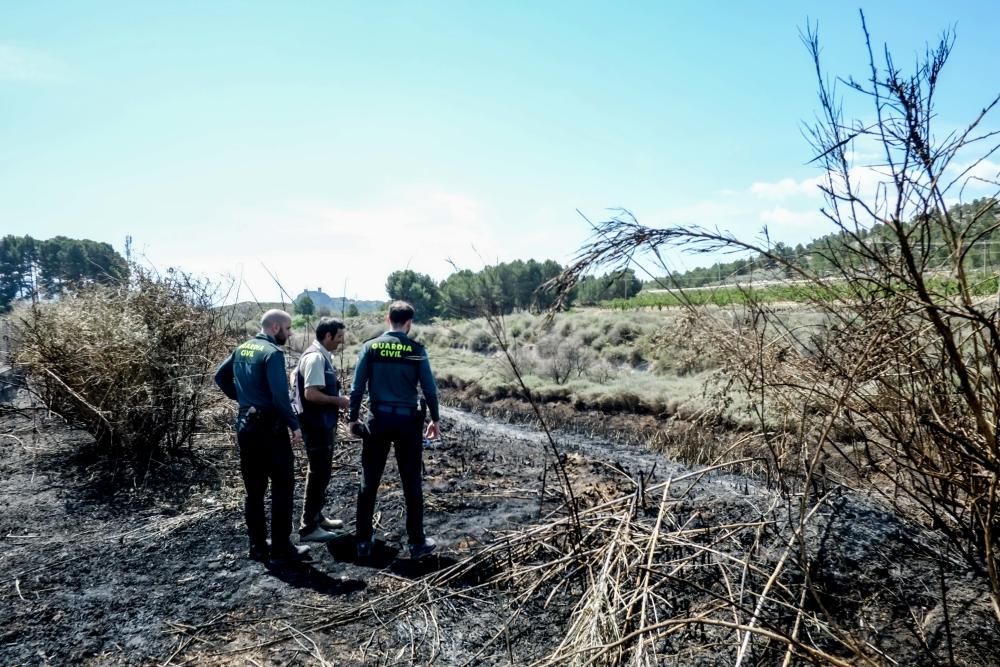 El fuego calcinó 20.000 metros cuadrados de matorral la noche del miércoles