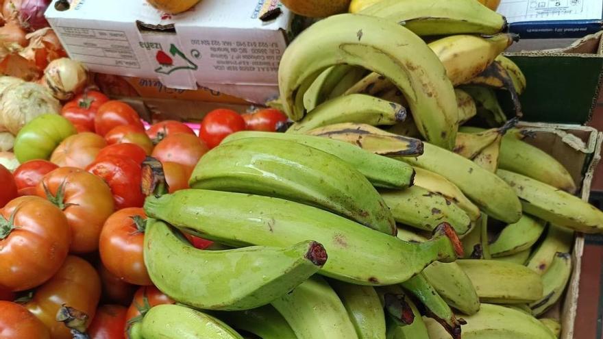 Los agricultores denuncian la entrada ilegal de plátano macho y mango en Canarias por fallos en los controles