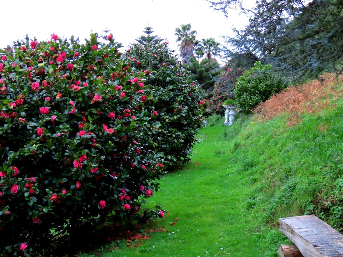 El paseo de las camelias del bosque-jardín de Luarca.