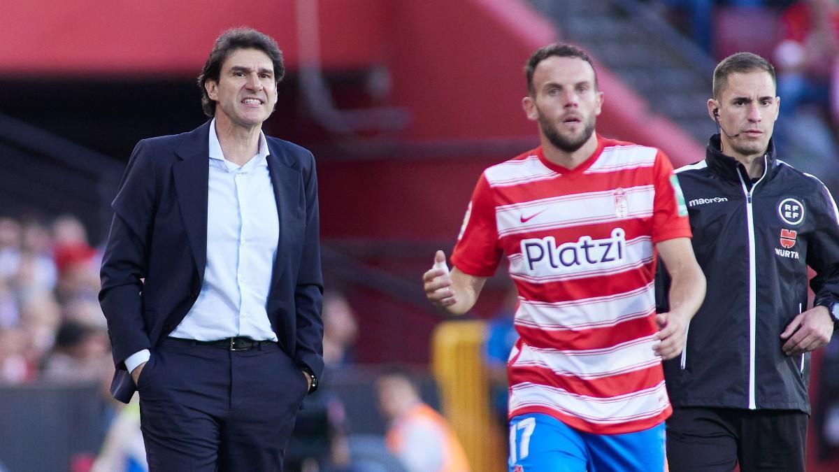 Aitor Karanka durante el Granada-Espanyol de la última jornada de LaLiga