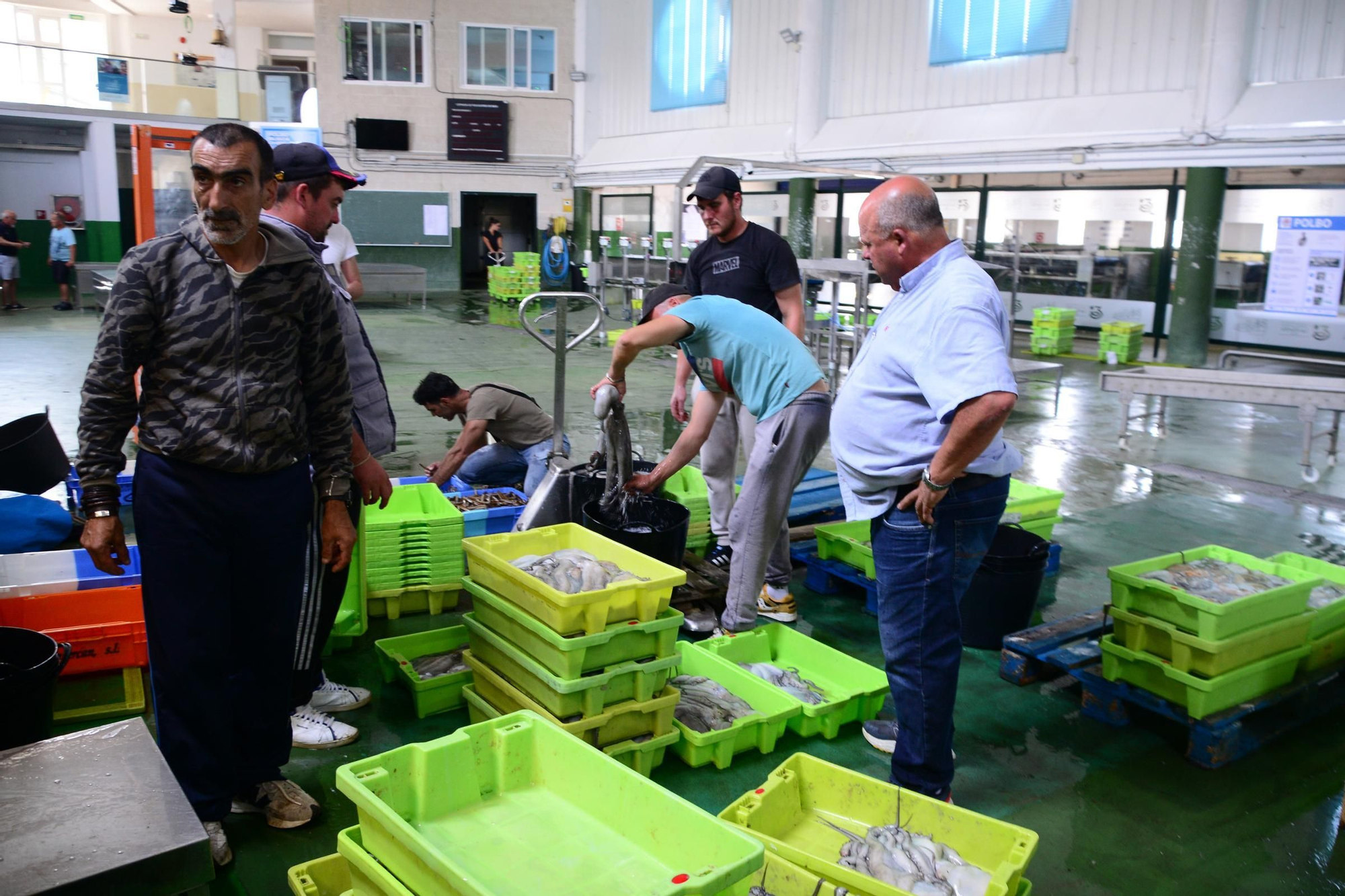 El inicio de la campaña del pulpo en el puerto de Bueu