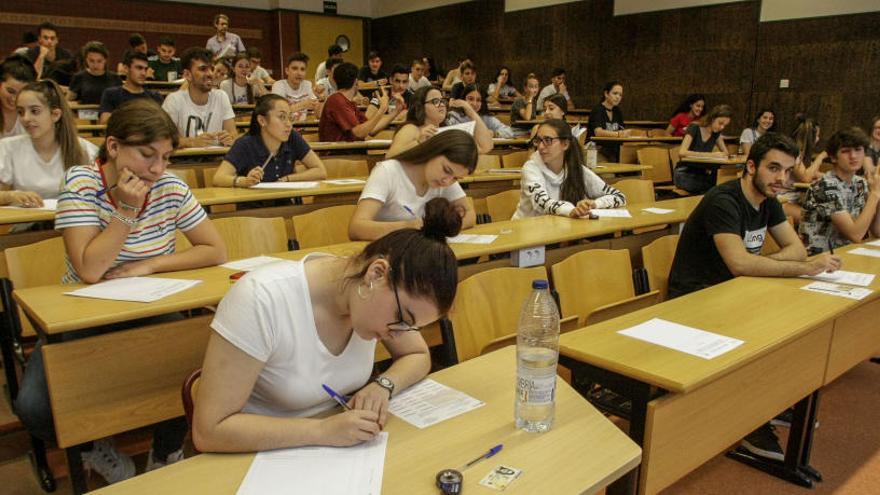 Alumnos realizando un examen de la Prueba de Acceso a la Universidad ayer en el campus de Elche de la Universidad Miguel Hernández.