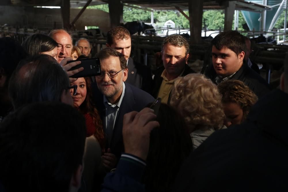 Visita de Mariano Rajoy a una ganadería en Gozón (Asturias)