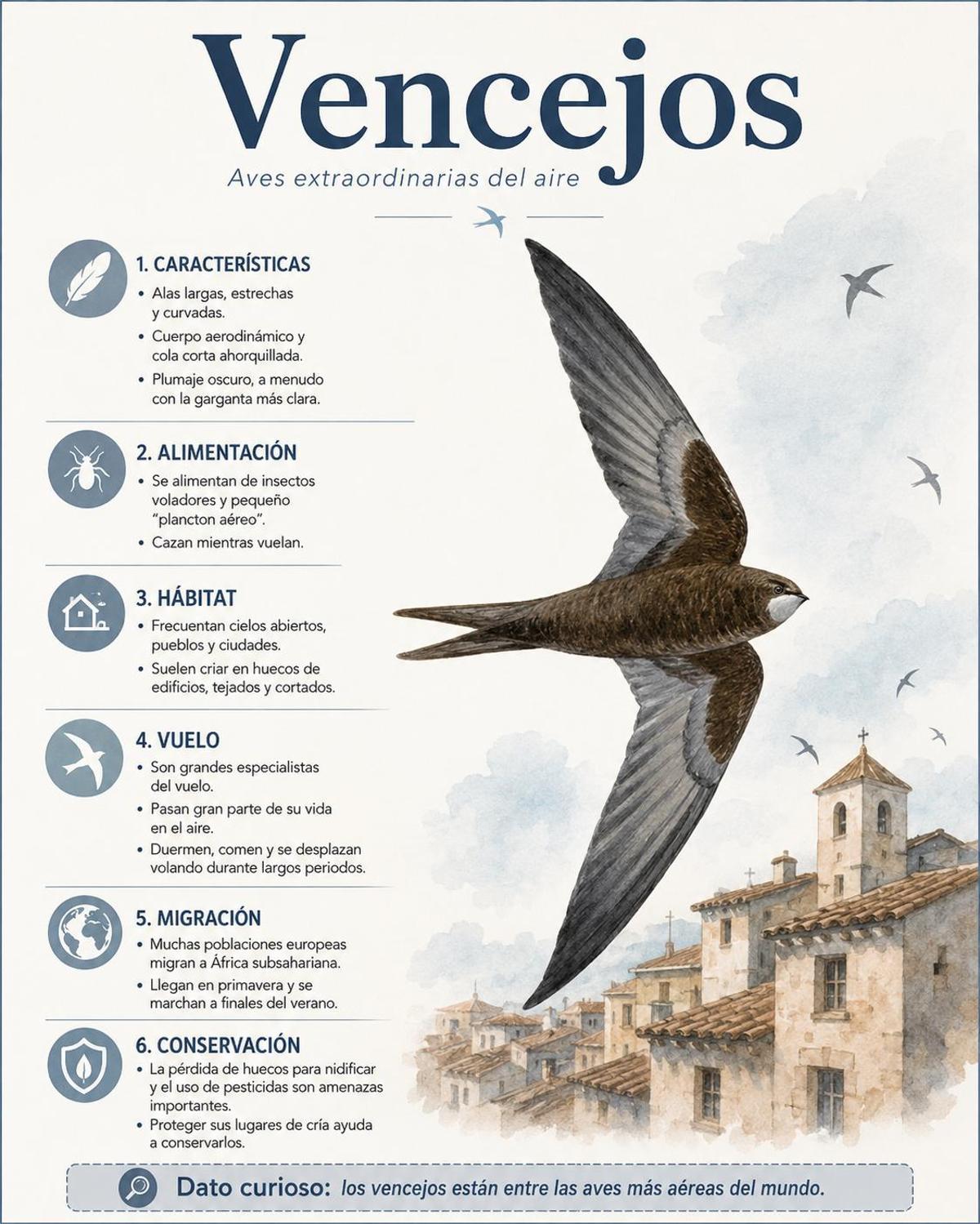 Vencejos