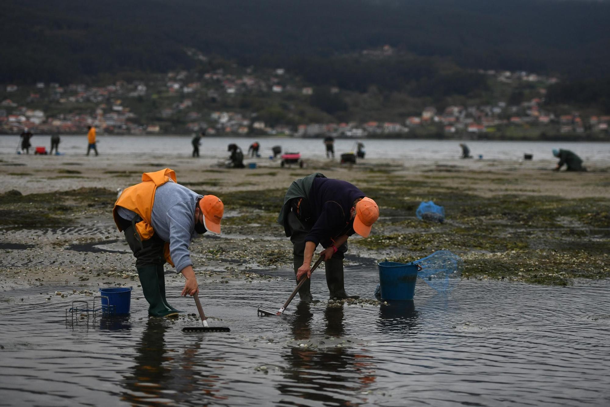 Las mariscadoras vuelven a faenar