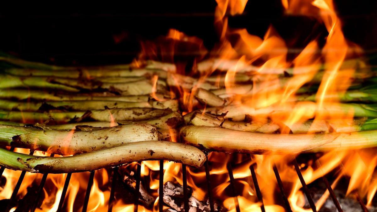 Calçots en Cataluña