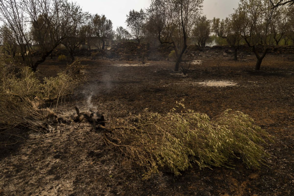 El incendio de Bejís, en imágenes