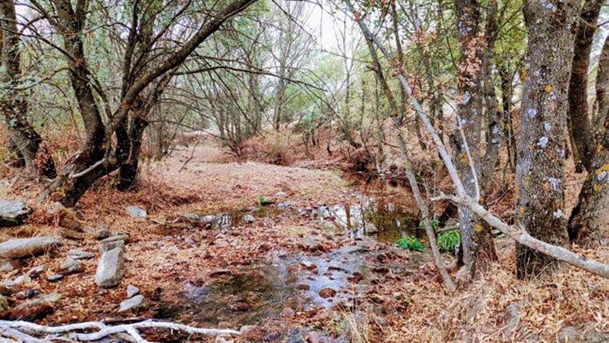 Río Perales en la Sierra de Guadarrama en Madrid