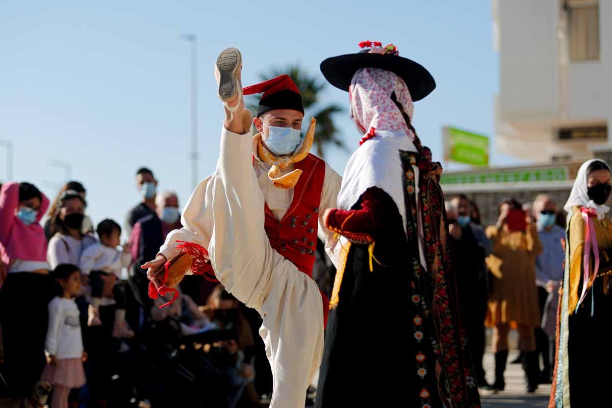 Bendición de animales en Sant Antoni