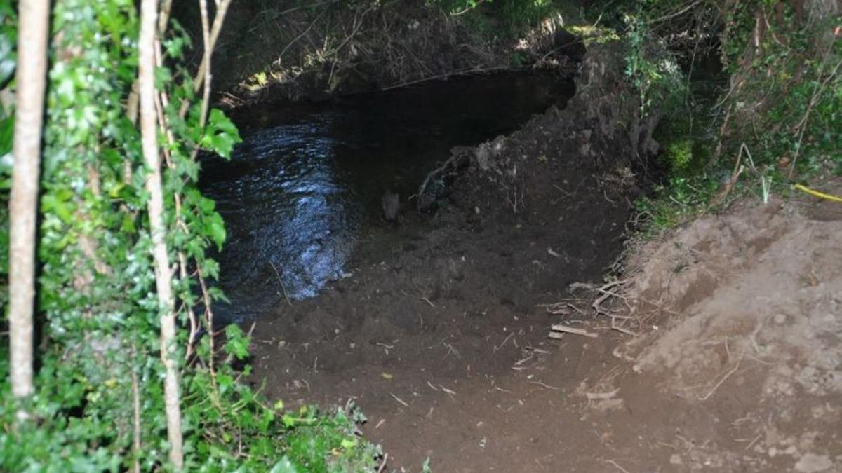 Zonas de bosque de ribera del río Barcés alteradas por el paso de ganado, cultivos herbáceos, uso de máquinas, repoblaciones forestales con eucaliptos y usos agrícolas.