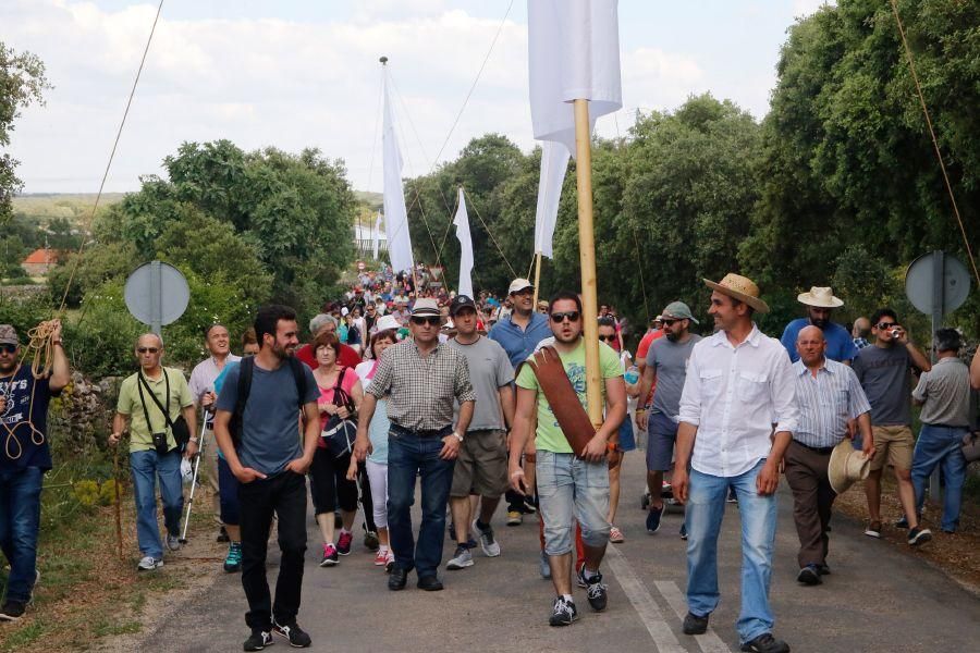 Romería de la Virgen del Castillo en Fariza