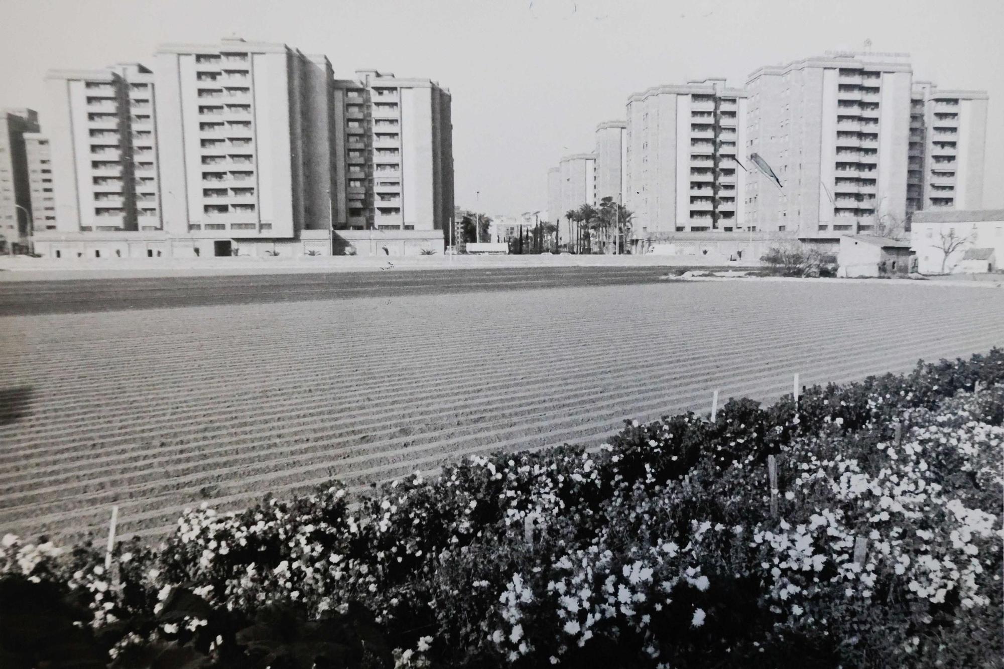 La Valencia desaparecida: Todo esto antes era huerta