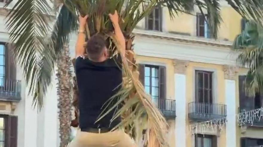 Los aficionados del Newcastle la lían en Barcelona: palmeras, fuentes y caos urbano