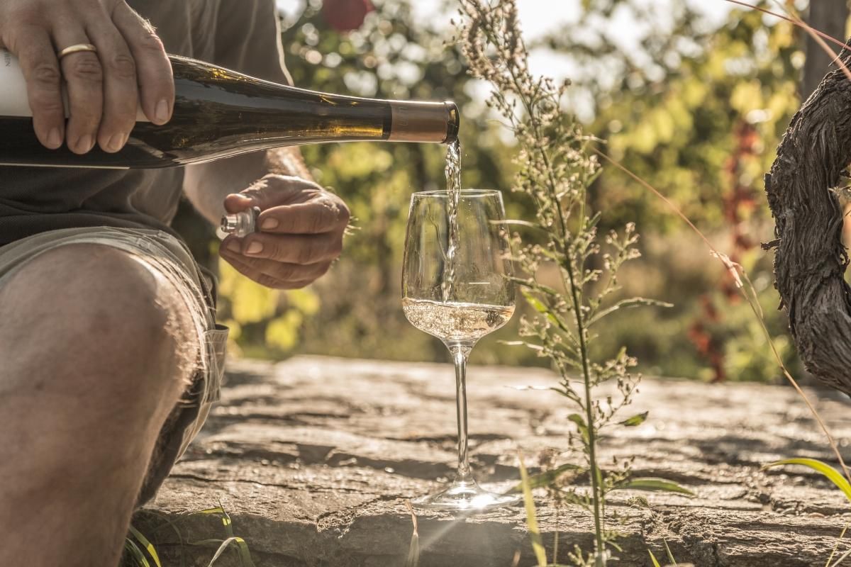 La tradición vitivinícola del Tirol es una parte clave de su gastronomía