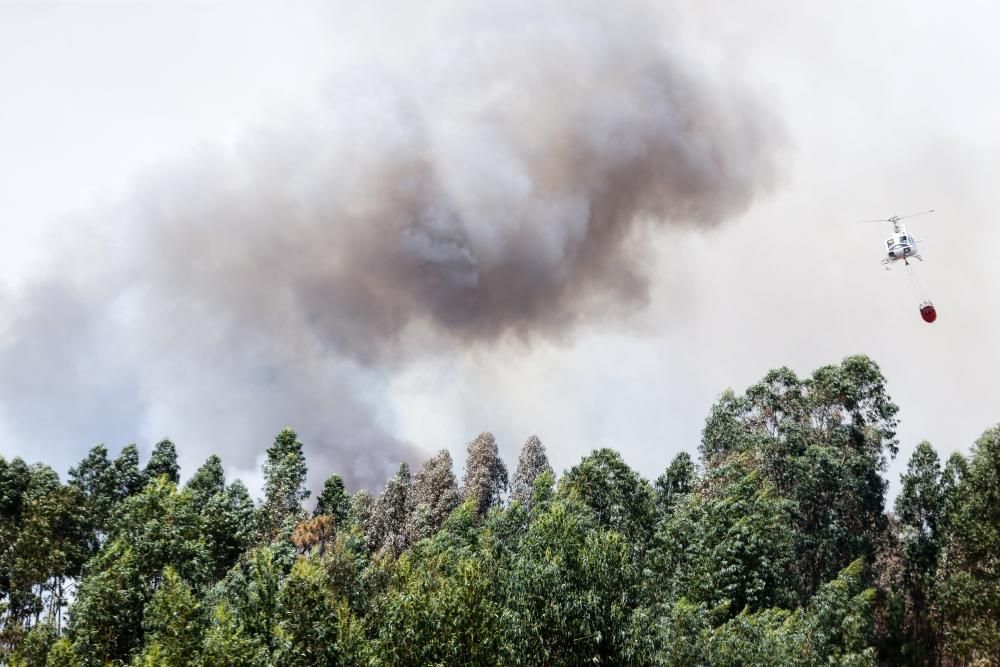 Incendio de grandes dimensiones en el centro de Portugal.