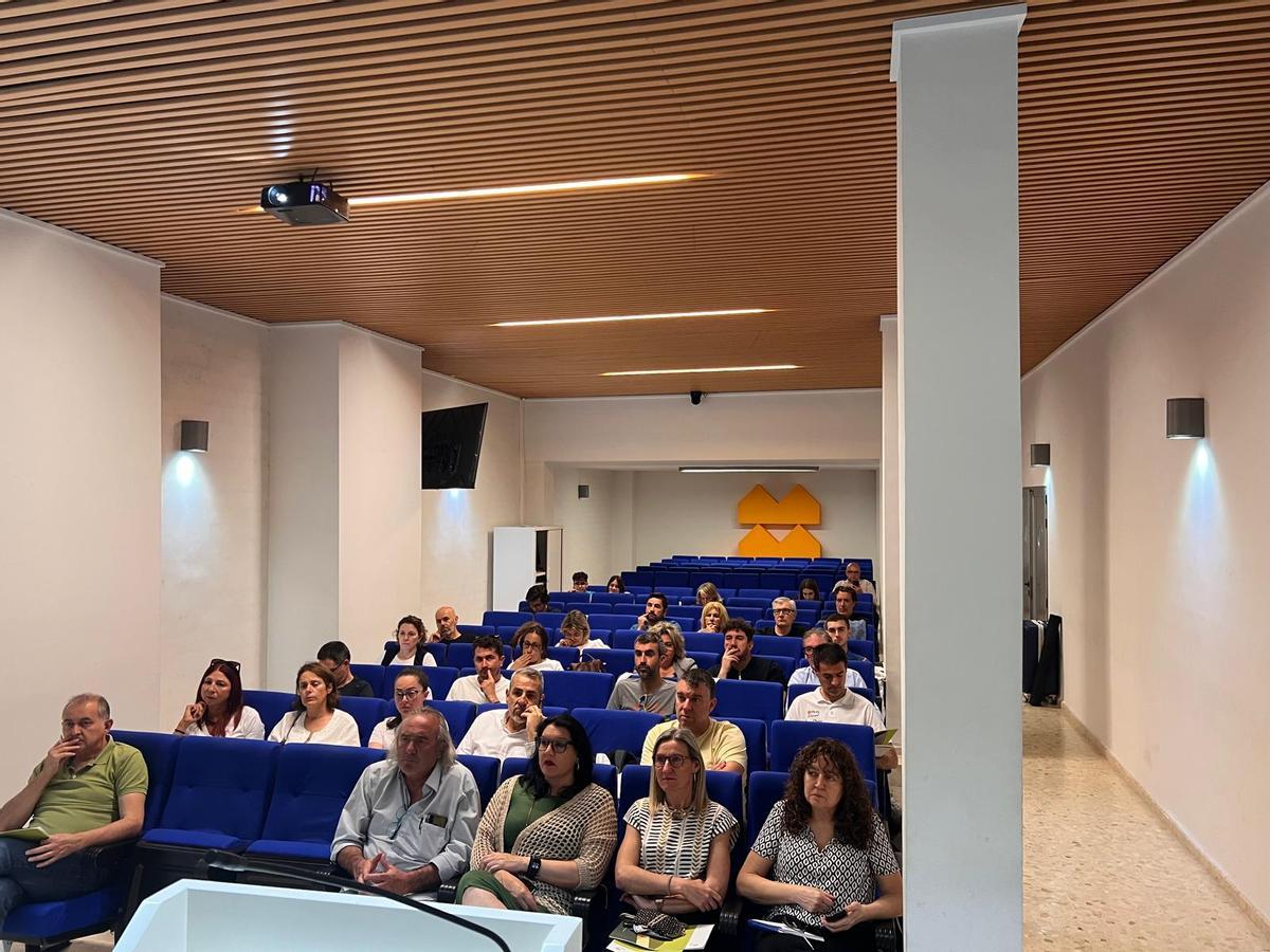 Asistente a la presentación del plan turístico "Roda la Vall d'Albaida"