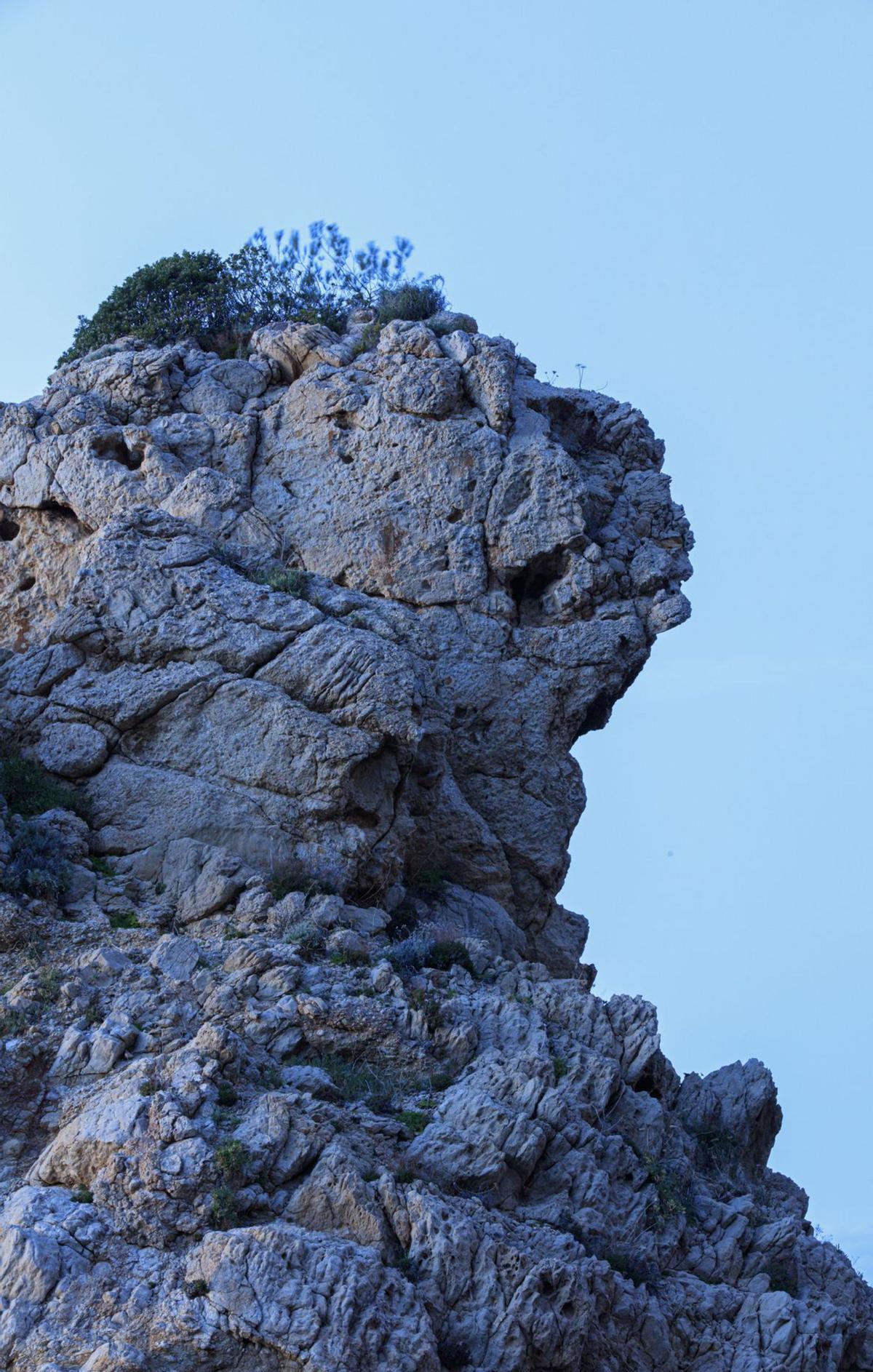 La gaviota y la luna