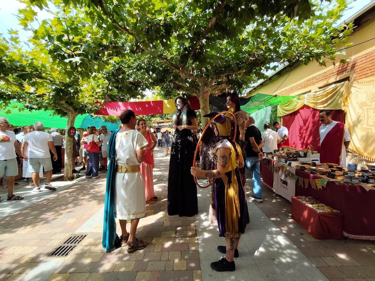 El Mercado Astur-Romano de Santibáñez de Vidriales, en imágenes El Mercado Astur-Romano de Santibáñez de Vidriales, en imágenes
